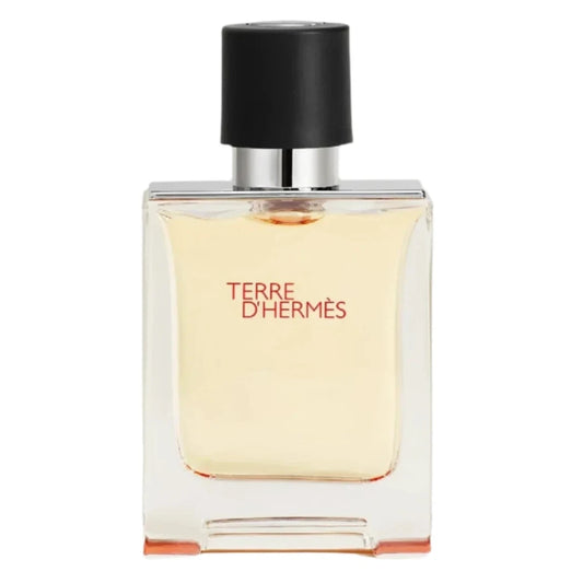 Hermes Terre D'Hermes Perfume  in Mauritius At Maulux.